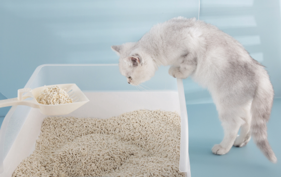 猫砂能混着用嘛