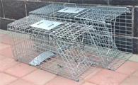宠物商店有卖捕猫笼吗