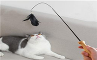 如何做猫玩具