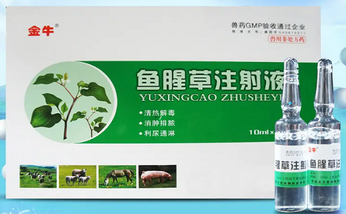兽用鱼腥草注射液