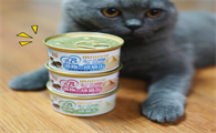 猫粮和猫罐头哪个好