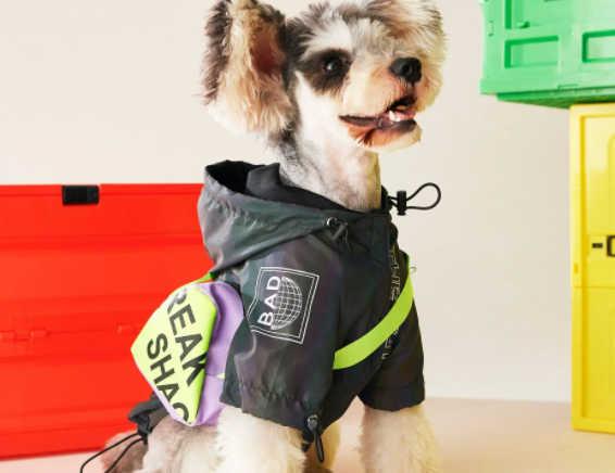 狗狗衣服怎么量尺寸 狗狗衣服怎么量尺寸