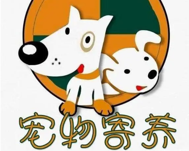 狗狗寄养小知识！