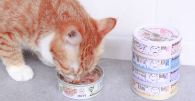 猫罐头开封后常温下可以保存多久