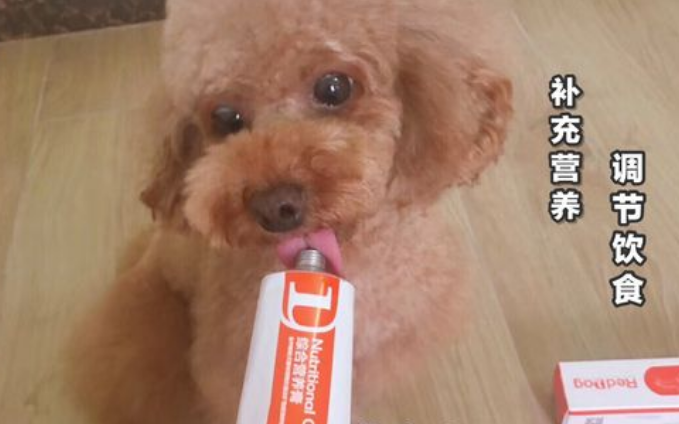 幼犬营养膏推荐