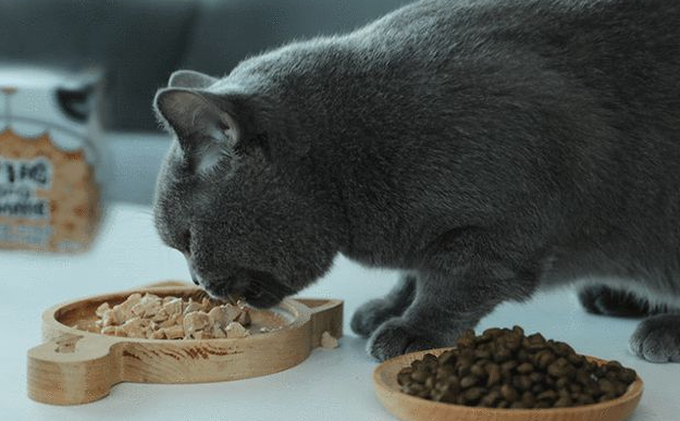 猫粮买什么价位的比较合适