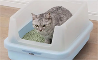 猫砂多久全部更换一次