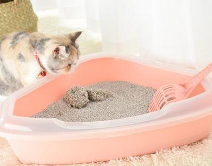 猫砂要倒多少