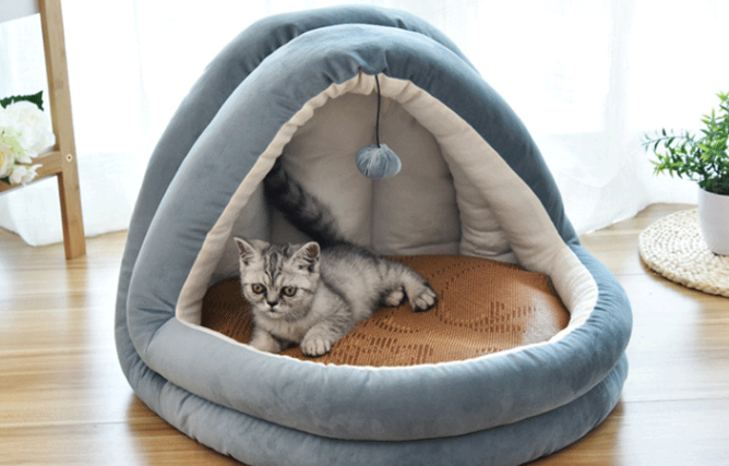 猫窝如何清理 猫窝如何清理
