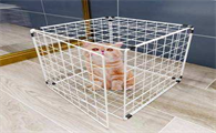 宠物笼怎么抓猫咪