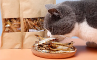 猫零食有哪些