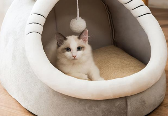 养猫用笼子还是猫窝 养猫用笼子还是猫窝