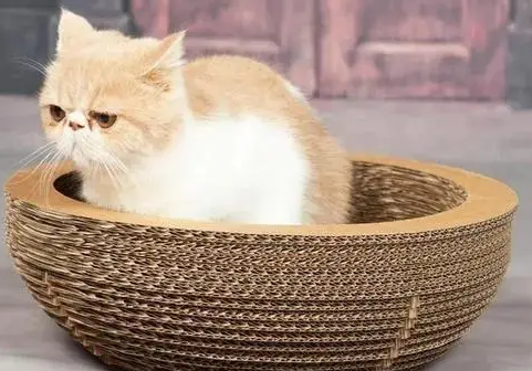 为什么猫主子宁愿挠沙发,也不用你给买的猫抓板? 为什么猫主子宁愿挠沙发,也不用你给买的猫抓板?