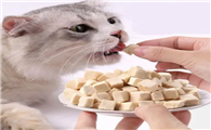 猫吃冻干好还是罐头好