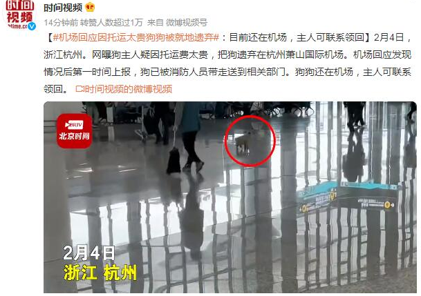机场回应托运太贵狗狗被遗弃 狗还在主人可联系领回