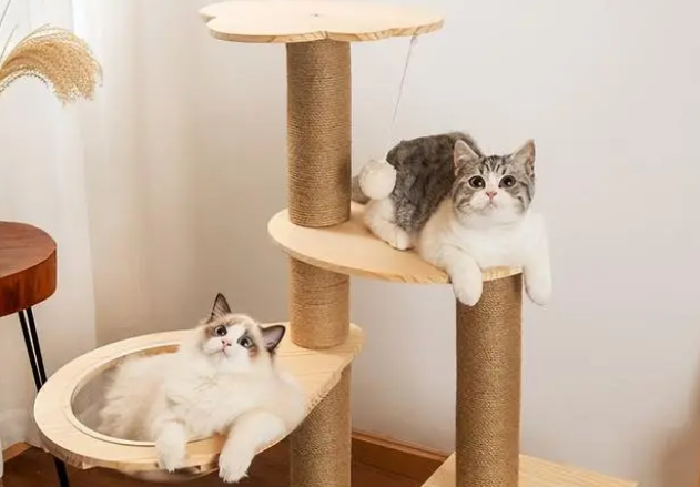 猫咪可以自己玩的玩具