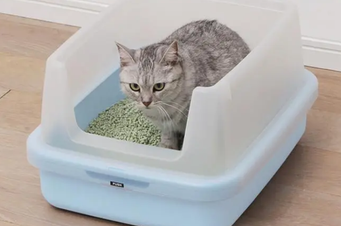 猫砂性价比排行榜 猫砂性价比排行榜
