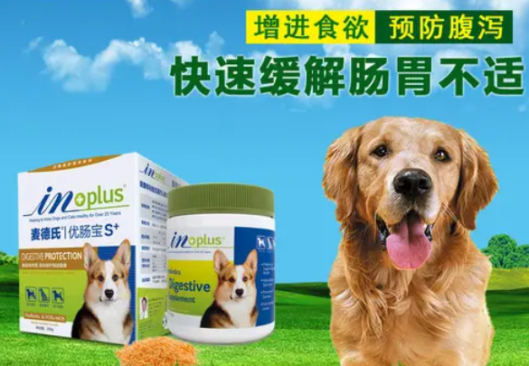 狗狗胃肠宝的功效