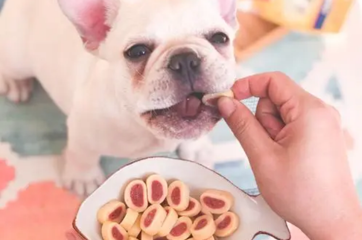 狗狗两个月吃什么零食 狗狗两个月吃什么零食