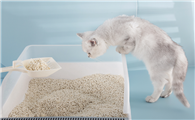 结团猫砂推荐