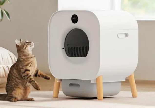 猫砂用什么装比较好