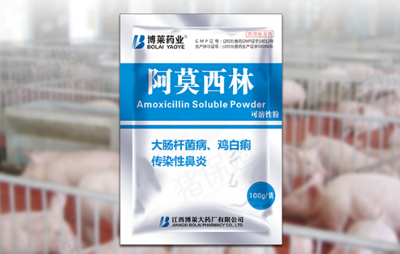 兽药知识 | 阿莫西林的妙用，这样用治疗效果也很好
