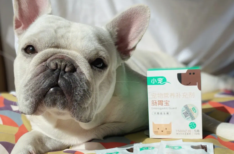 狗狗有必要喂肠胃宝吗