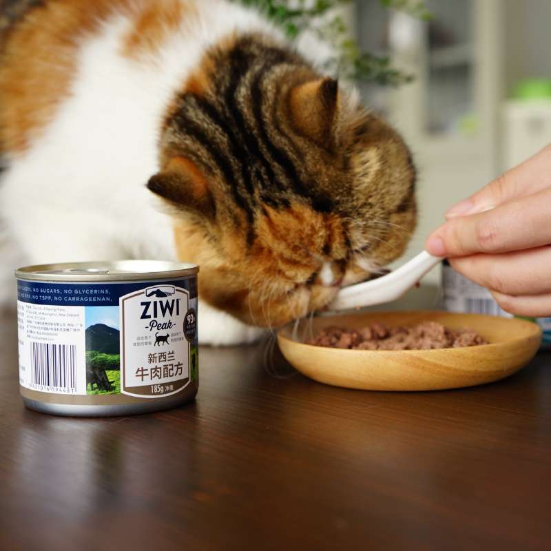 猫罐头能加热吃吗