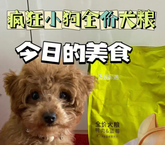 哪个牌子幼犬狗粮好