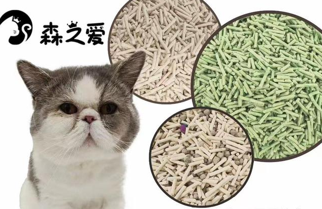 结团猫砂什么牌子好