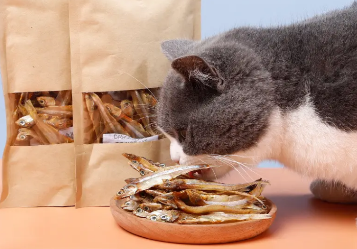 猫零食有哪些