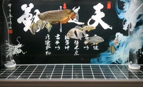 鱼缸水质问题的处理办法 鱼缸水质问题的处理办法