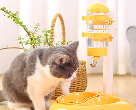猫咪喂食器怎么做