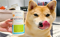宠物洁齿水怎么用