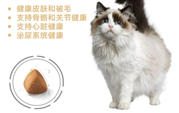 布偶猫粮推荐