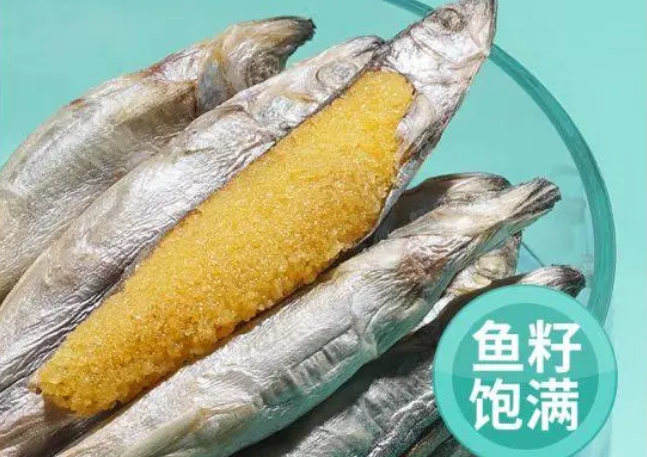 宠物猫零食哪个品牌好