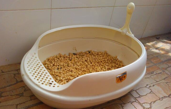 猫砂用每天铲吗 猫砂用每天铲吗