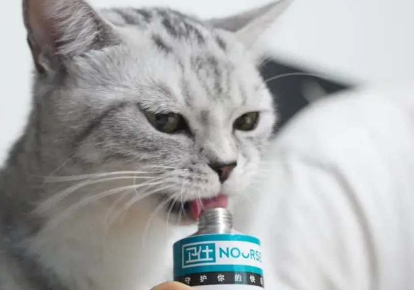 猫咪营养膏排名