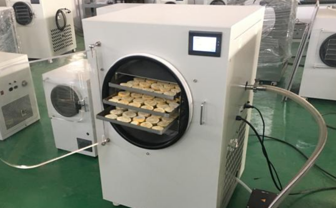 宠物冻干零食生产设备