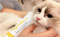 猫咪营养膏是什么