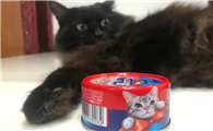 猫咪能吃罐头吗