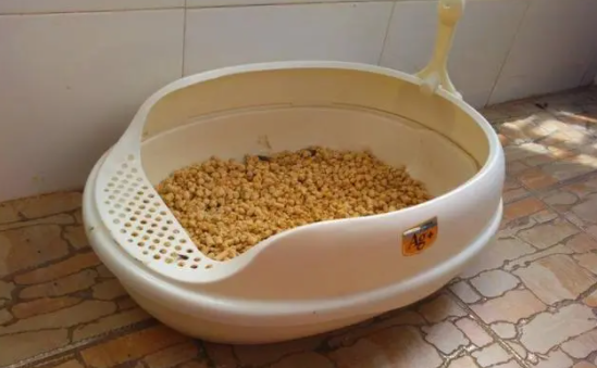 4l猫砂是多少斤 4l猫砂是多少斤