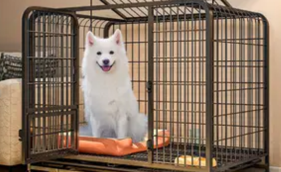 狗笼子什么颜色好看 狗笼子什么颜色好看