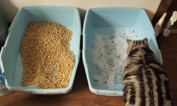 猫砂价格一吨 猫砂价格一吨