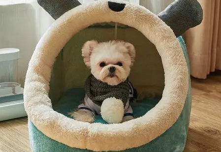 什么牌子的狗窝好