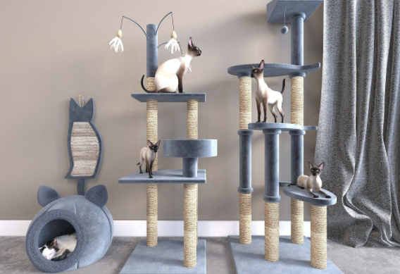 小猫玩的玩具叫什么