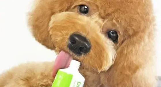 狗狗营养膏的作用