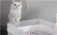 猫砂除臭哪个好 猫砂除臭哪个好