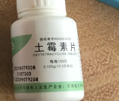 狗狗专用感冒药