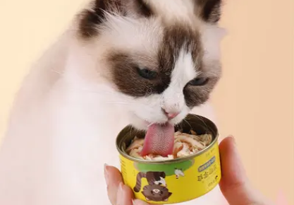 两个月小猫能吃猫罐头吗
